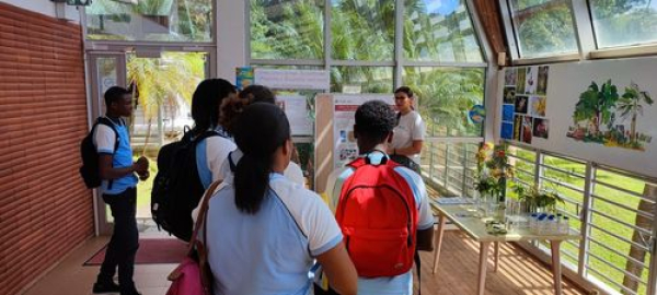 Stand Engrais naturel en abondance © Cirad Martinique